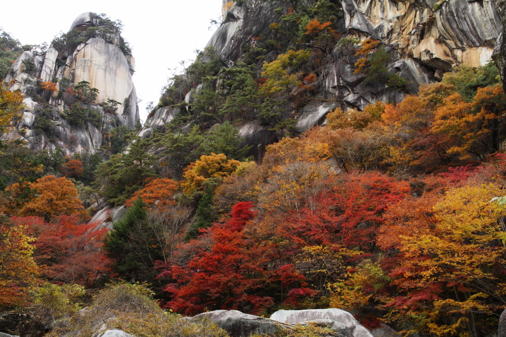 覚円峰と紅葉