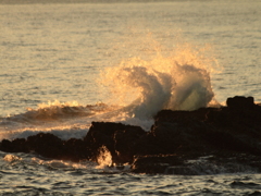 城ケ島_波照