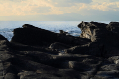 城ケ島