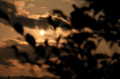 夕陽