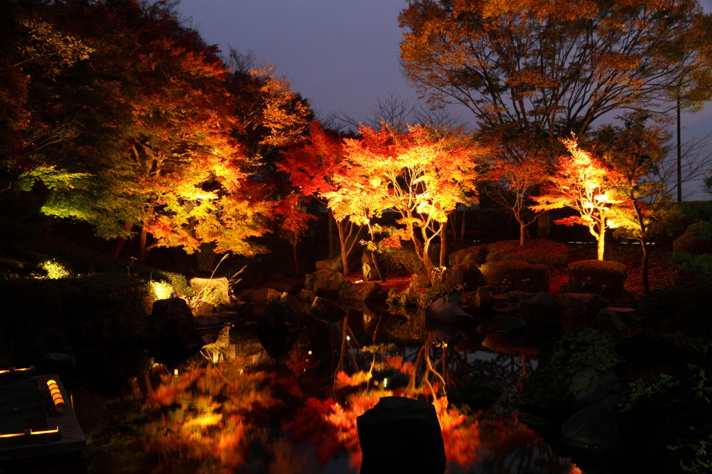 大磯城山公園ライトアップその４