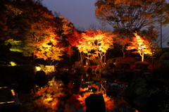 大磯城山公園ライトアップその４