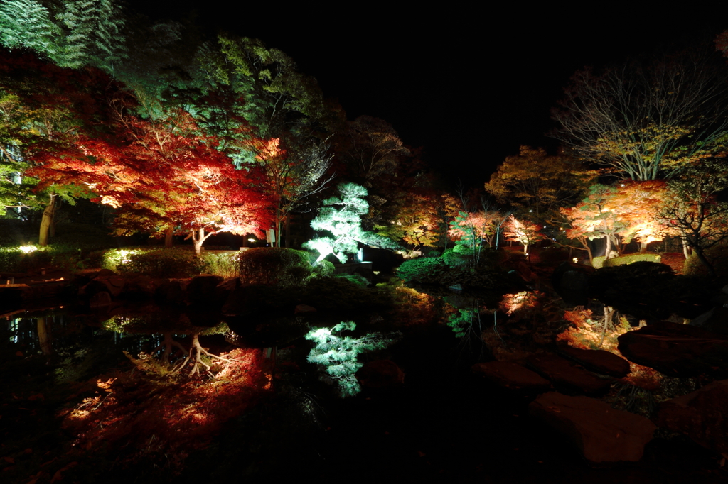 大磯城山公園ライトアップその６