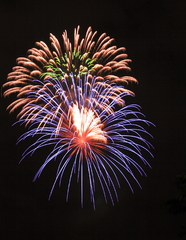 大空に咲く花