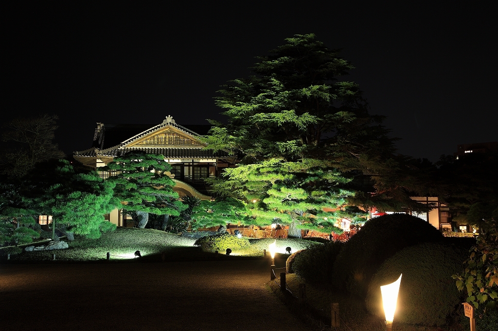 夜の庭園