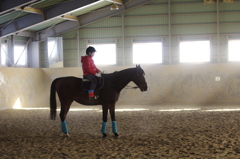 乗馬