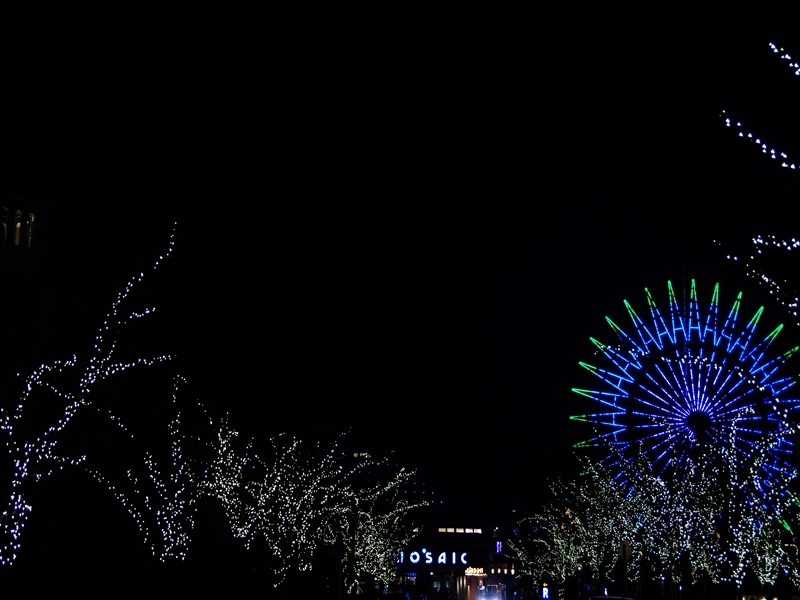 冬のイルミネーション１