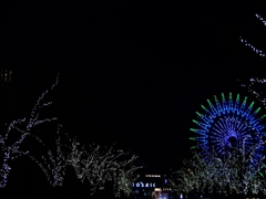 冬のイルミネーション１