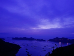 虫明湾の曙１