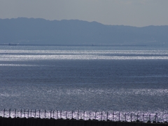 ２０１２年みなと神戸の１日５