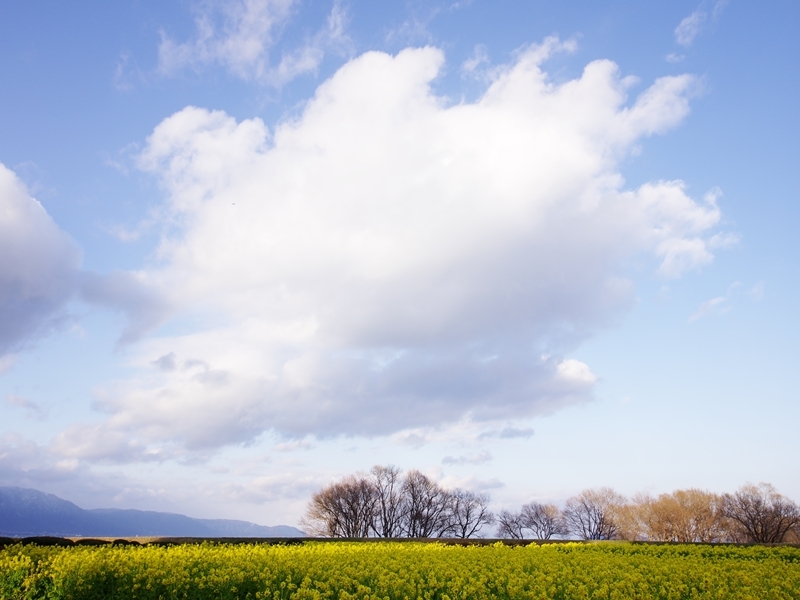 琵琶湖巡り４（なぎさ公園１）
