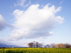 琵琶湖巡り４（なぎさ公園１）