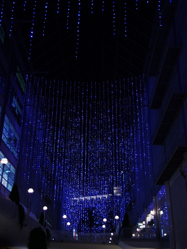 冬のイルミネーション５