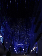 冬のイルミネーション５