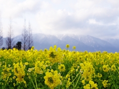 琵琶湖巡り５（なぎさ公園２）