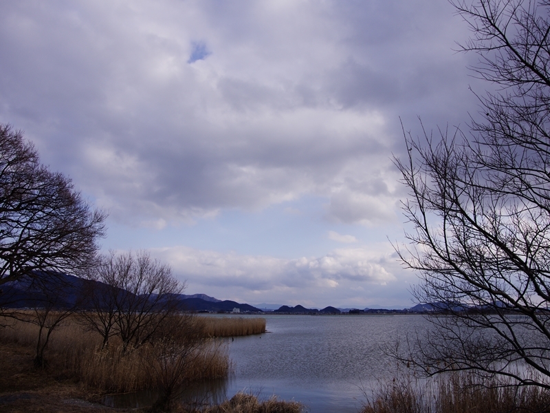 琵琶湖巡り３（西の湖）