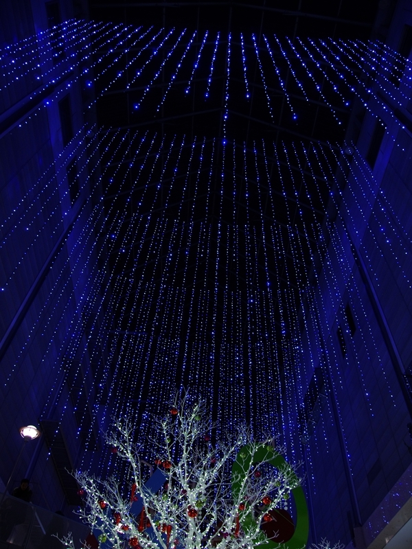 冬のイルミネーション４