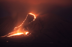 早春の山肌を駆ける