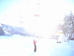 眩しいです・・・。