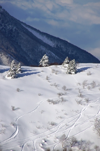 バックカントリー