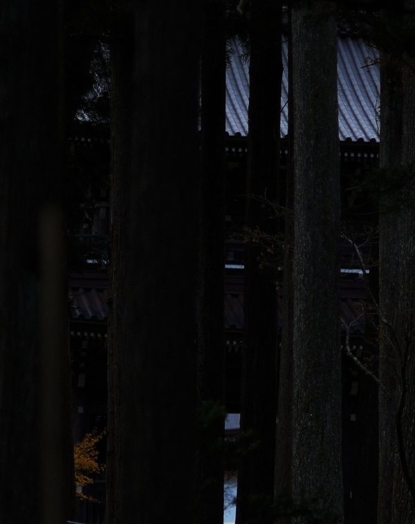 林泉寺