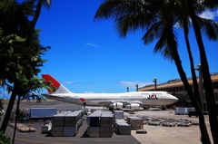 Last Flight To Japan From Hawaii