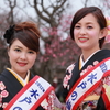 梅むすめ✿✿✿