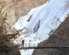 厳冬の吊り橋