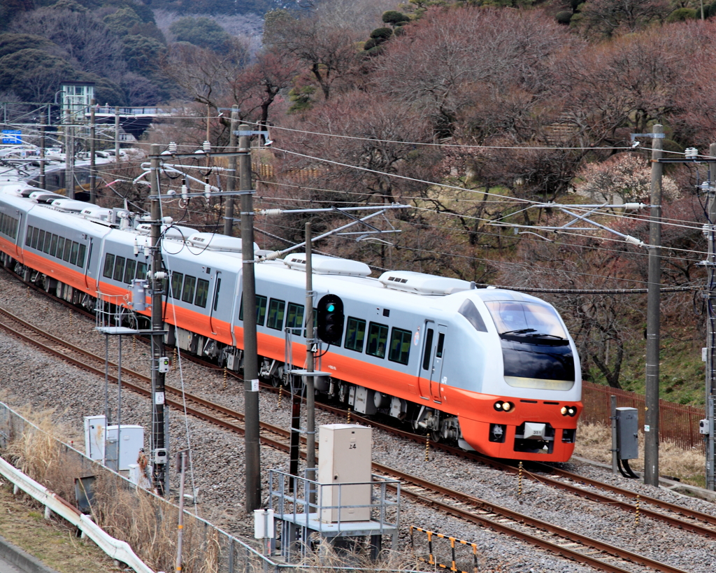 このカーブを過ぎると・・・春が！