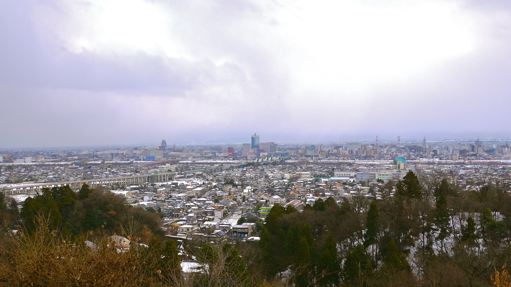 呉羽山からの富山