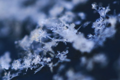 雪の結晶？