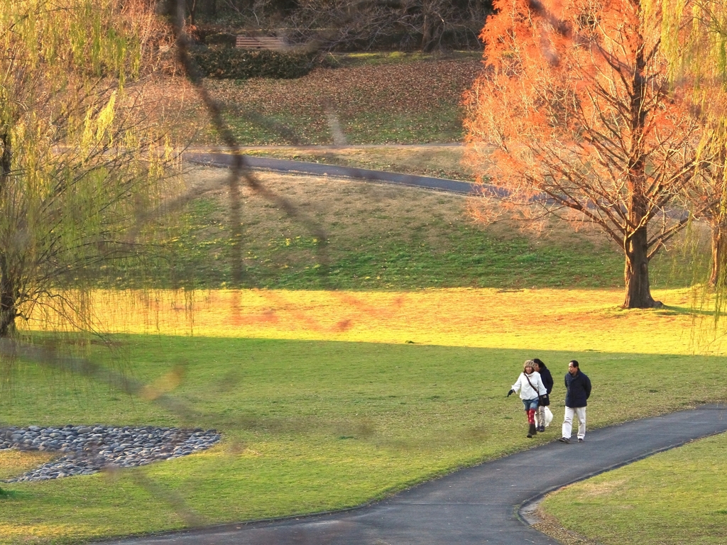 冬の散歩道