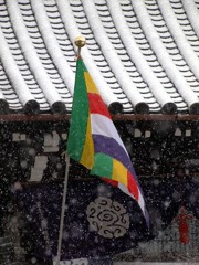 雪深深