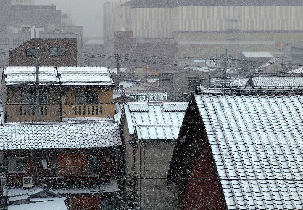 屋並の雪