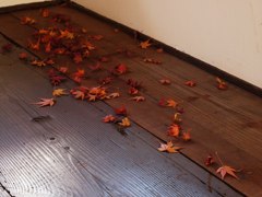 散りモミジ
