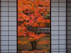 雲竜院