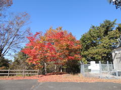広島県府中市上下町　竜王山