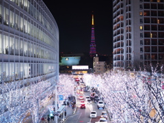 六本木けやき坂*東京タワー