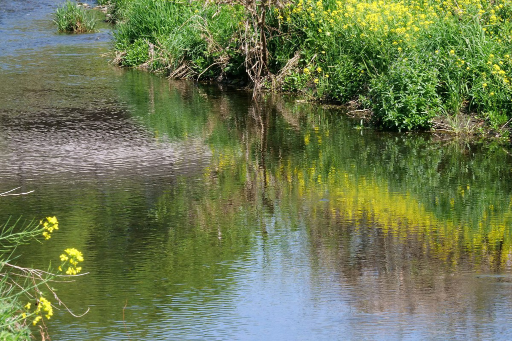 春の小川