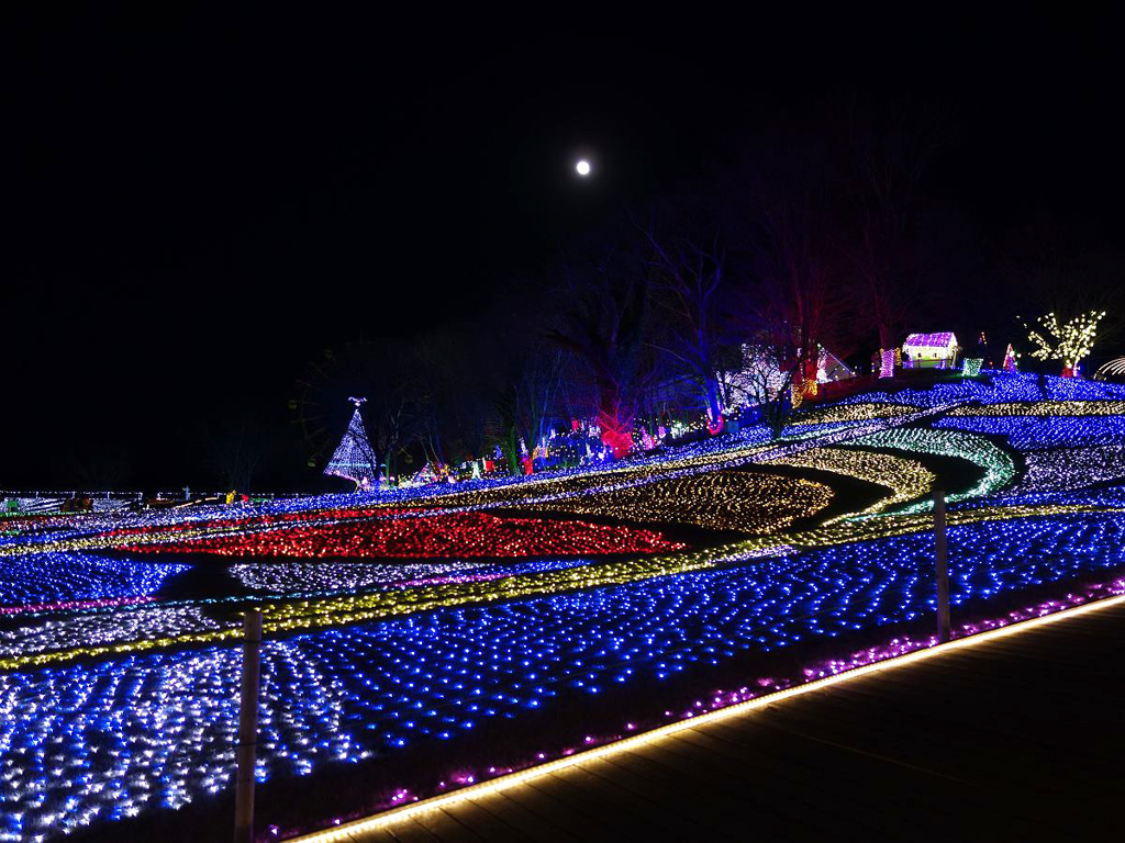 東京ドイツ村