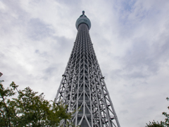 天を突く