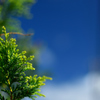 夏の遠景　その１