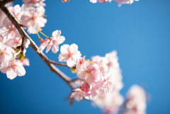 静かに、凛と