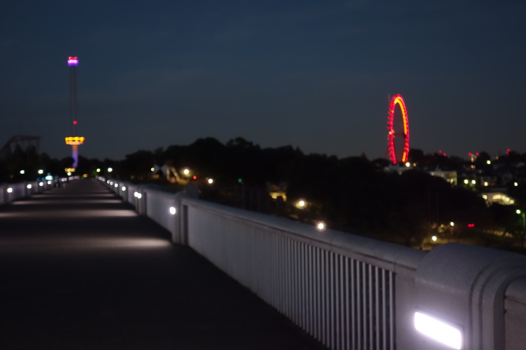 西武遊園地の夜