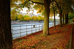 フランス／パリの秋