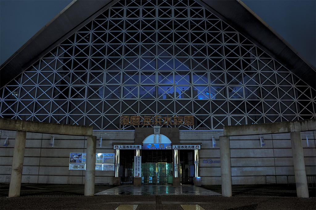 深夜の水族館