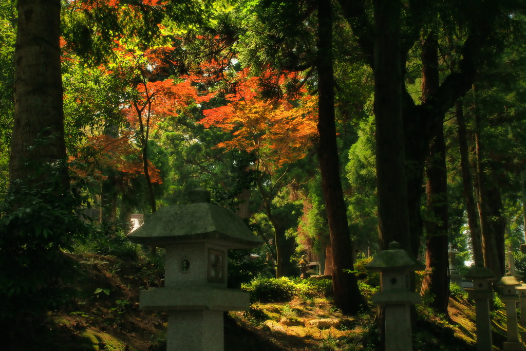 伏木気多神社　３