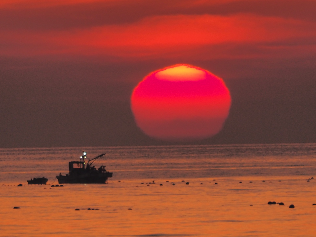 でっかいぞう　③