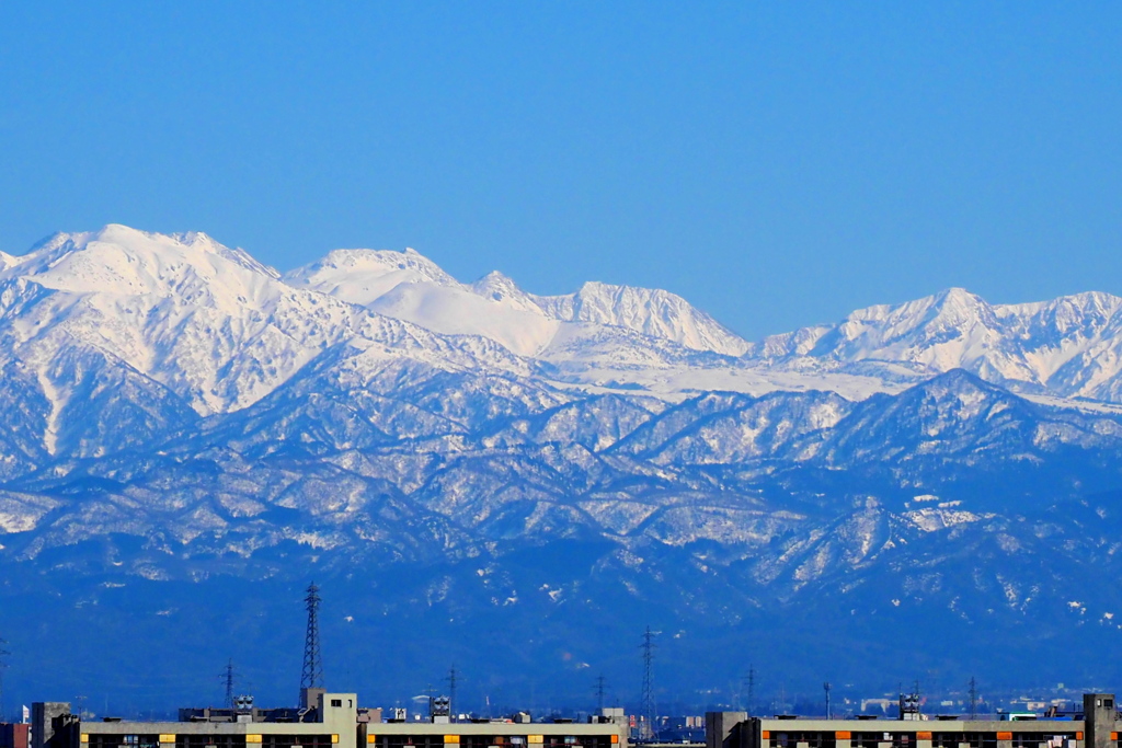 環水公園から見る立山