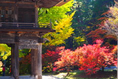 霊松寺紅葉　②